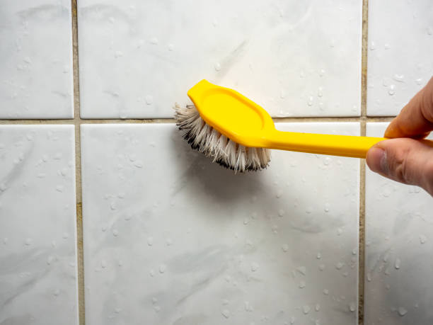Best Office Mold Removal Services  in Folcroft, PA