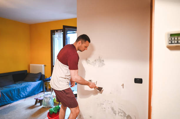 Best Mold Damage Repair  in Folcroft, PA